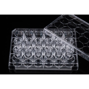 PET Memberane Cell Culture Inserts for 12-well plates China